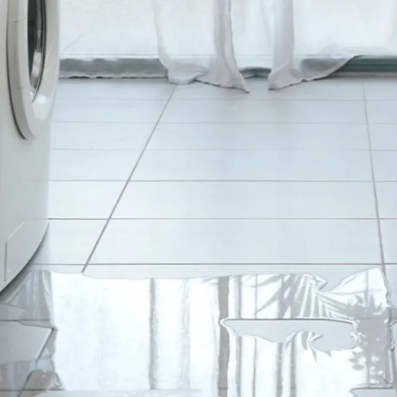 Appliance Leak Cleanup in Price County, WI