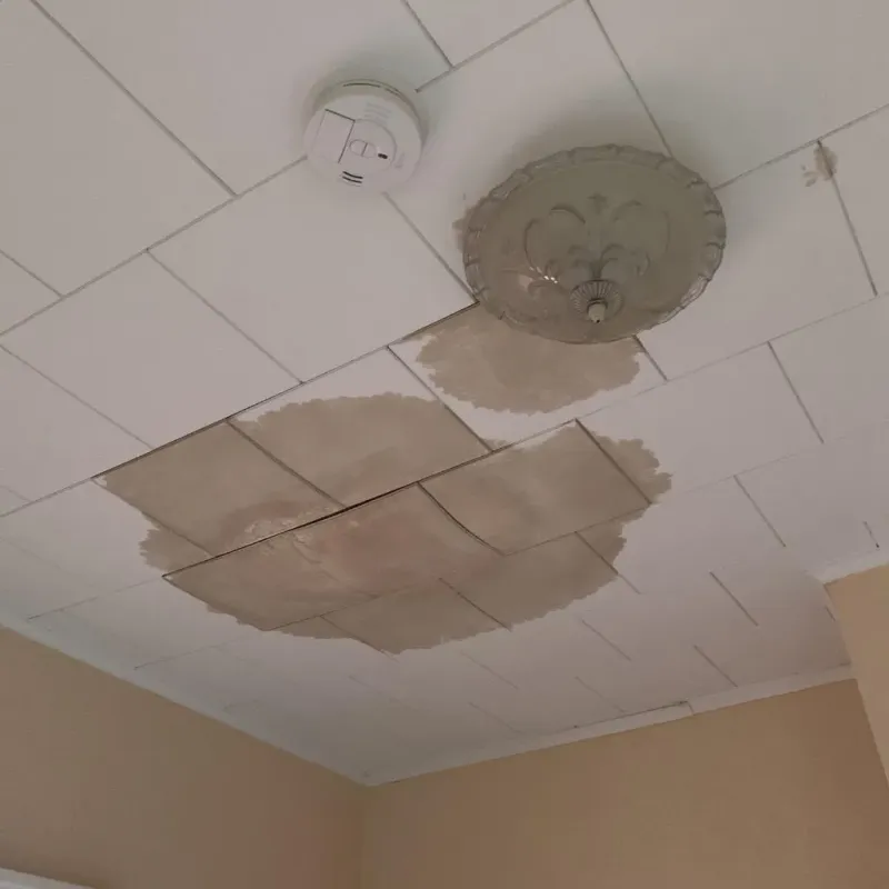 Ceiling Water Damage Repair in Price County, WI